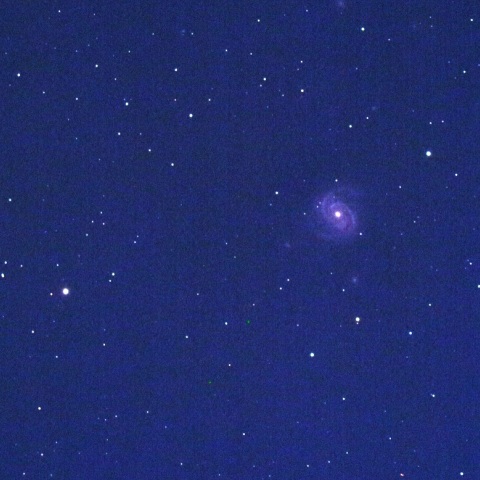 光害地でのM100周辺の銀河