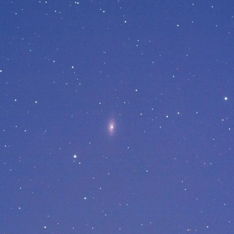 光害地でのしし座の逆ひまわり銀河