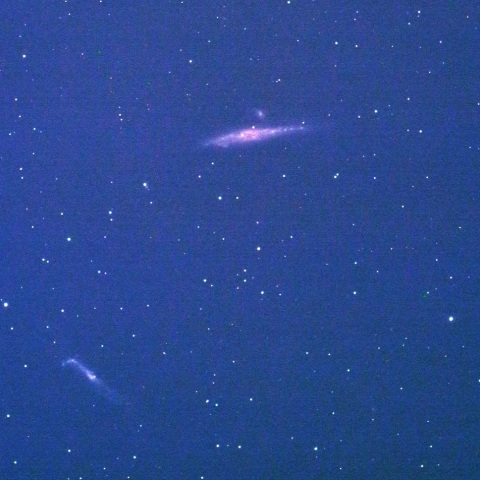 光害地でのりょうけん座のくじら銀河