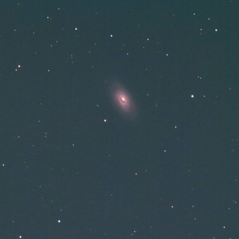 光害地でのM64黒眼銀河