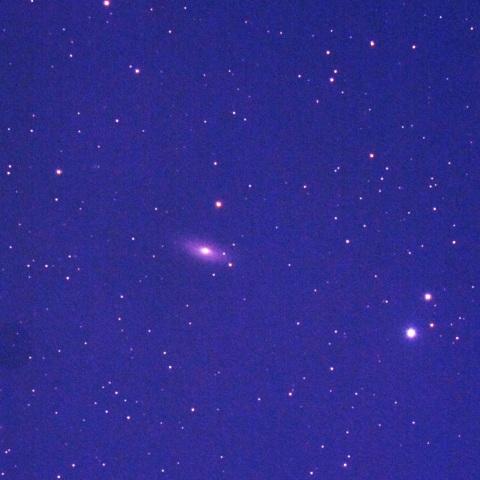 光害地でのNGC2841銀河