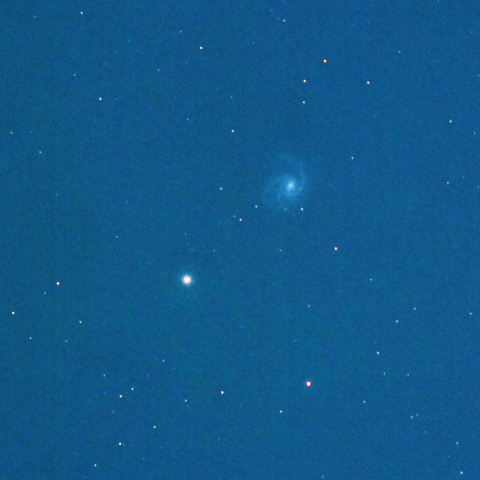 かみのけ座のM99