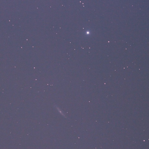 かみのけ座のM98