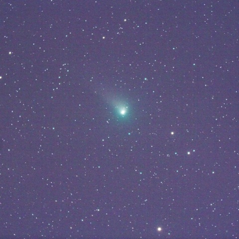 4/29のジョンソン彗星（C/2015V2）