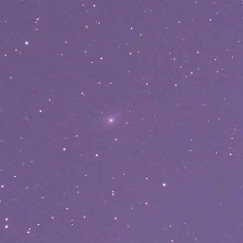 おひつじ座のNGC772