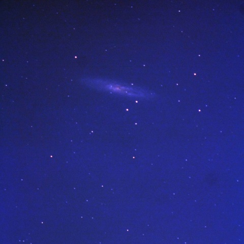 ちょうこくしつ座のスターバースト銀河