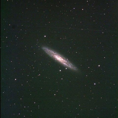 ちょうこくしつ座のNGC253