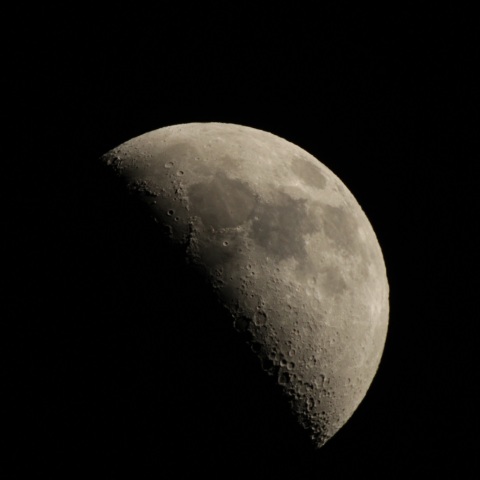 月齢7.6の坊主の顔