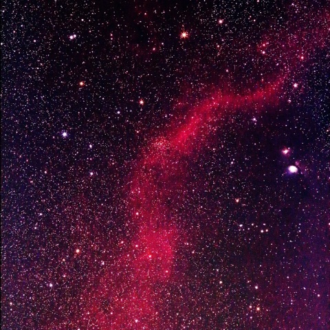 バーナードループ＆M78