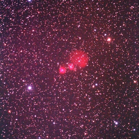 オリオン座のIC2162