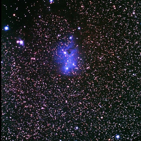 IC2169かたつむり星雲