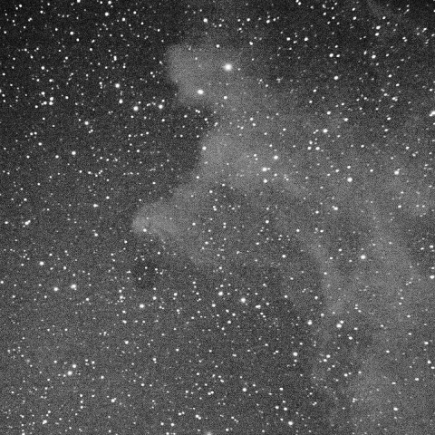 エリダヌス座のIC2118魔女の横顔星雲