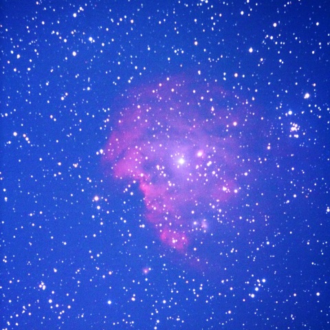 市街地でのモンキー星雲