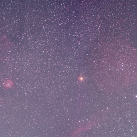 ばら星雲～エンゼルフイッシュ星雲