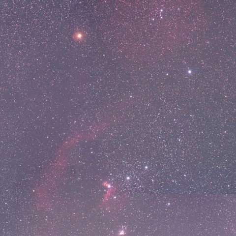 エンゼルフイッシュ星雲～オリオン大星雲