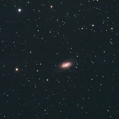 しし座NGC2903
