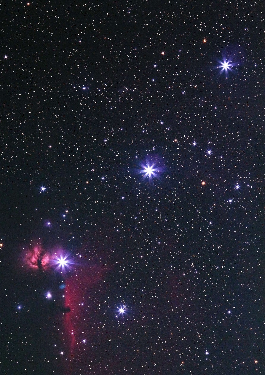 オリオン座の三ツ星 星雲 By 川越の星 天体写真ギャラリー