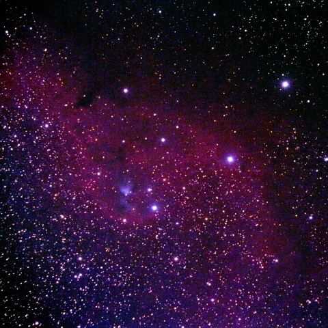 オリオン座のSh2-264