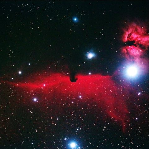 冬季最後の馬頭星雲