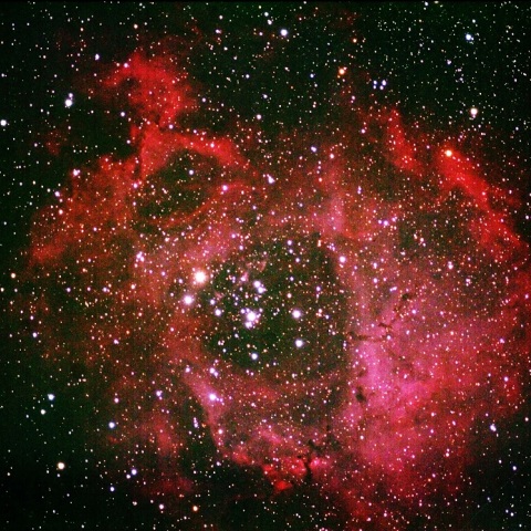 冬季最後のバラ星雲