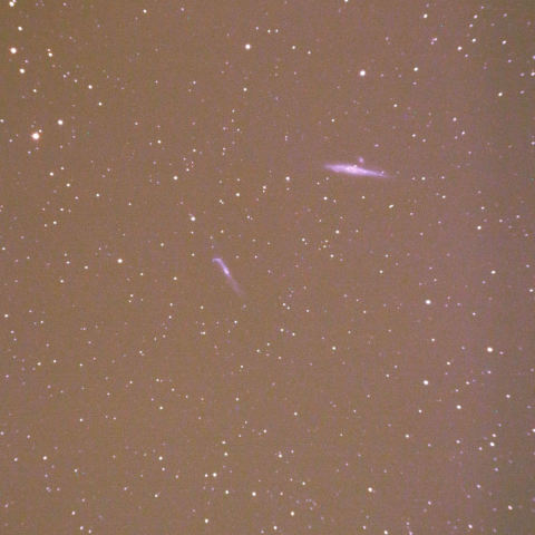 クジラ銀河＆NGC4656