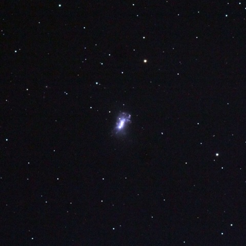 NGC4449北天大マゼラン雲