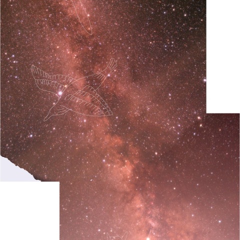 天の川夏の大三角