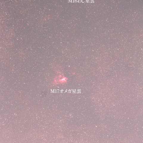 M16＆M17＆バンビの横顔