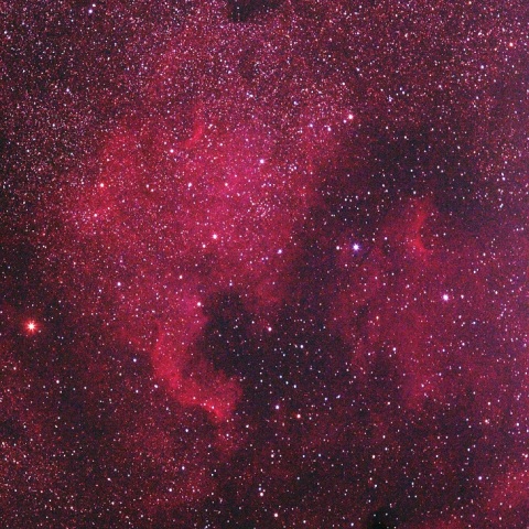 市街地での北アメリカ星雲＆ペリカン星雲