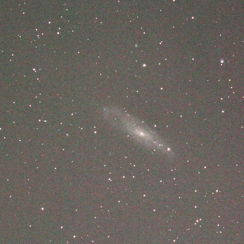 くじら座のNGC247