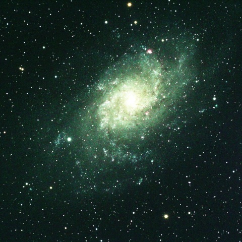 M33
