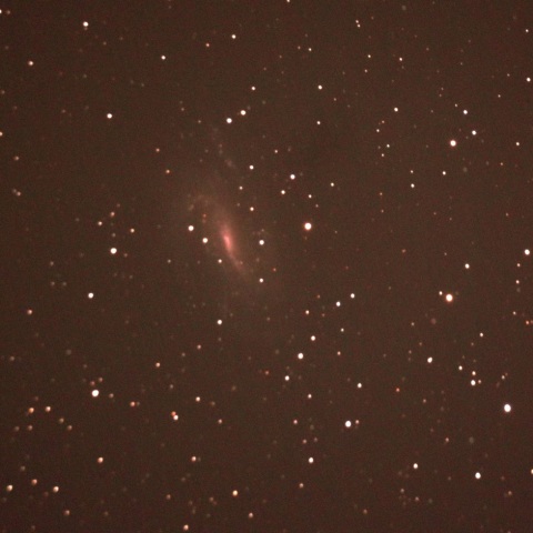 NGC925銀河