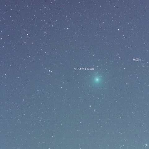 11/29のウィルタネン彗星とNGC908銀河