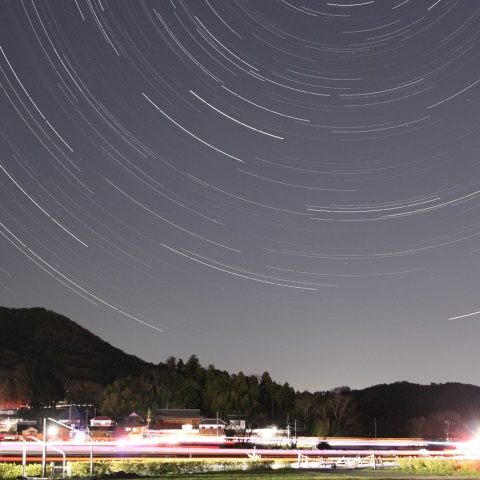 巾着田での日周運動