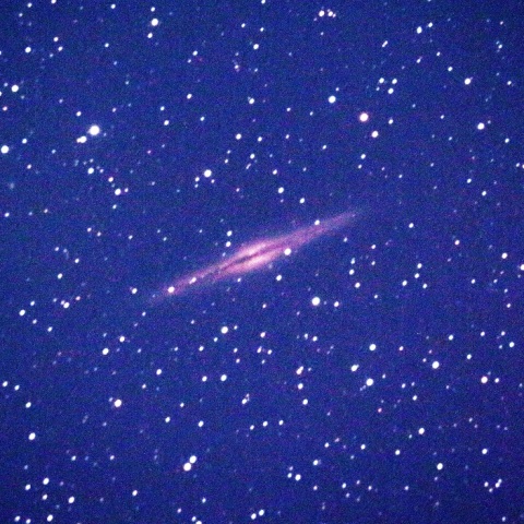 NGC891