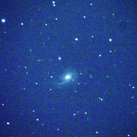 NGC772
