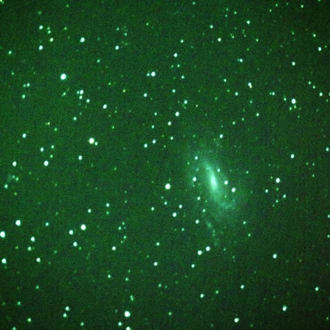 NGC925