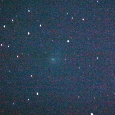 ウィルタネン彗星2019/02/07