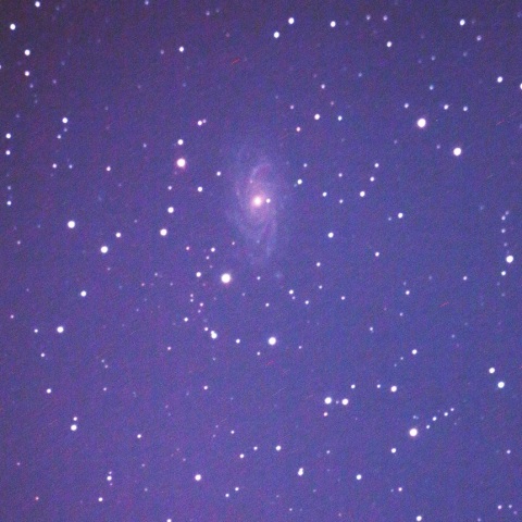 NGC2336(系外銀河)