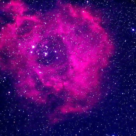 NGC2237（薔薇星雲）
