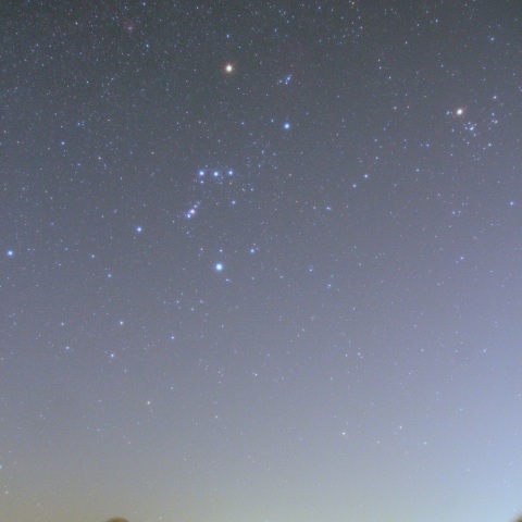 西のオリオン座