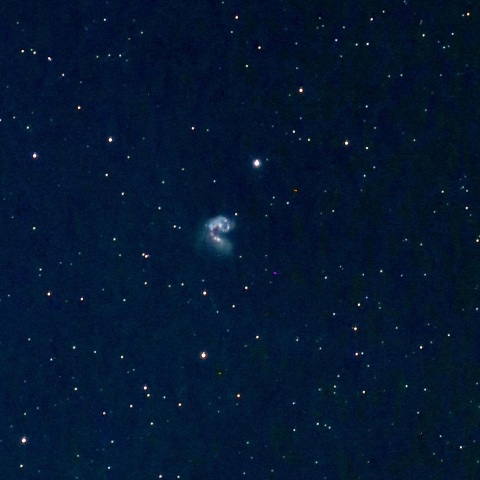 触角銀河（NGC4038/NGC4039）