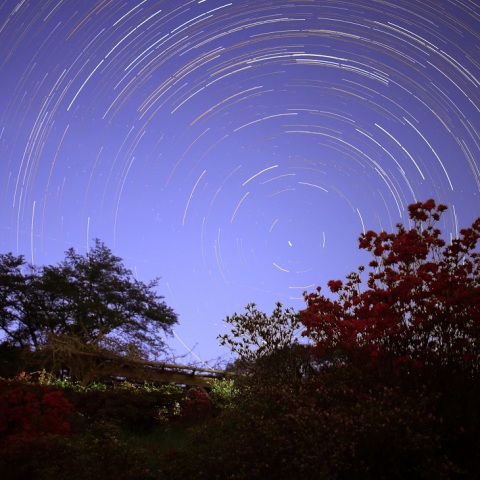 皐月と北天の星
