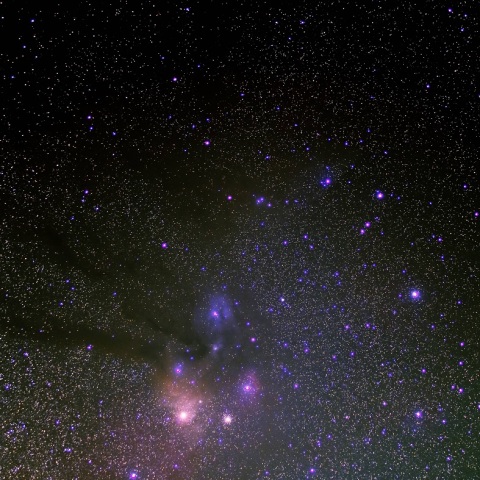 アンタレス周辺