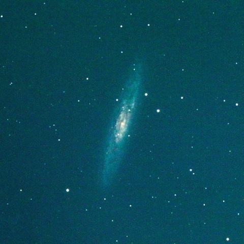NGC253