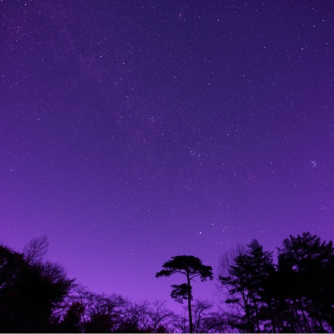 ペルセウス座付近