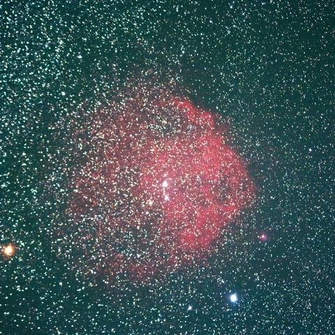 エンゼルフィッシュ星雲