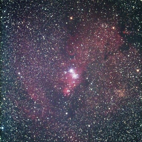 NGC2264