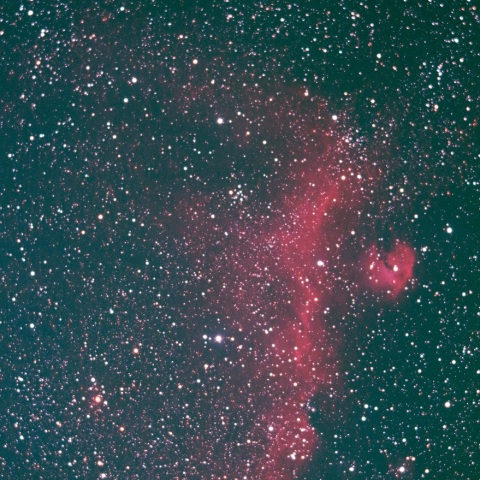 かもめ星雲 IC2177