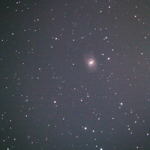 M95(NGC3351)フェイスオン銀河